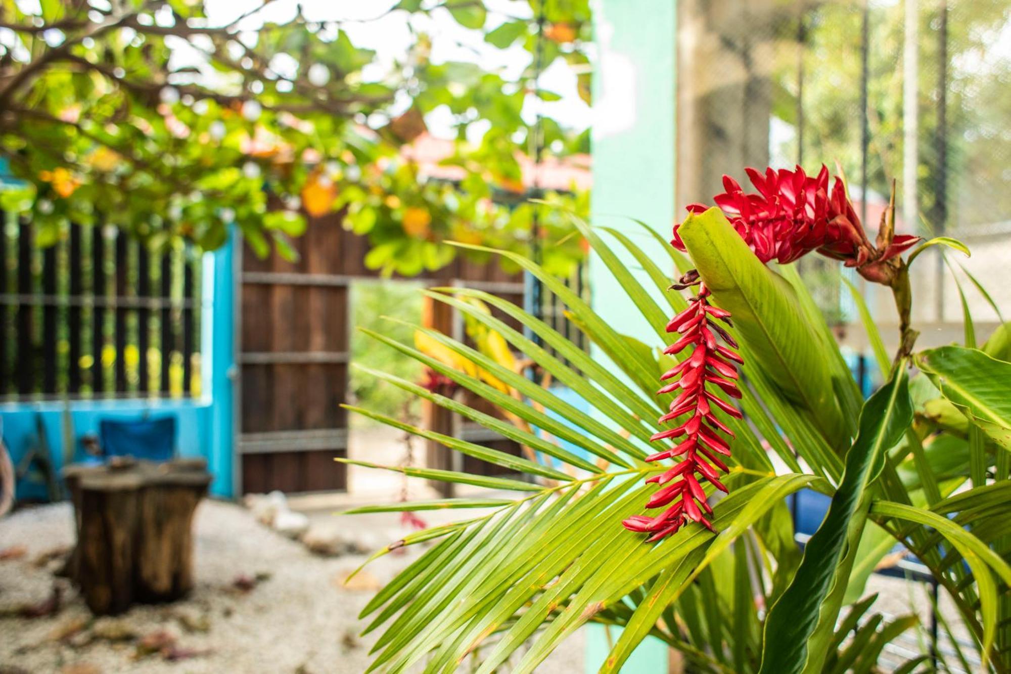 Argdivan Beach Hostel Sámara Zewnętrze zdjęcie